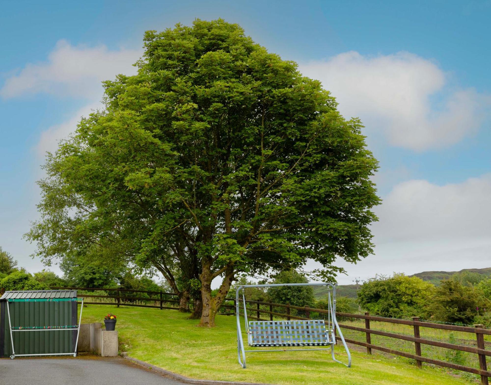 Mountain Nest At The Foot Of Slieve Gullion Cloghoge Exterior foto