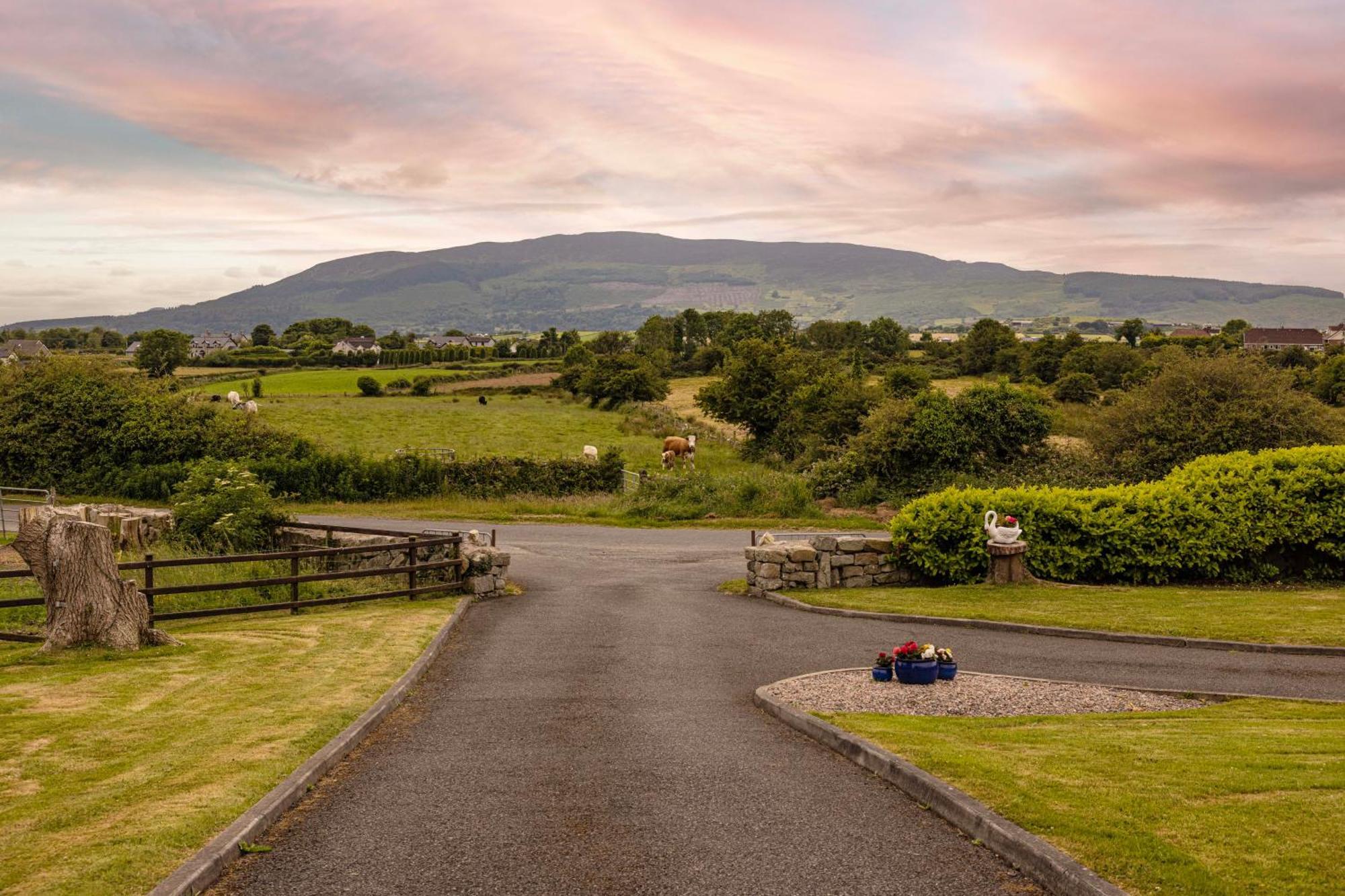 Mountain Nest At The Foot Of Slieve Gullion Cloghoge Exterior foto